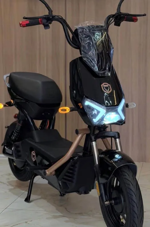 Moto Elétrica Foston X16max 1000w